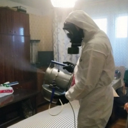 Дезинфекция от клопов в Горках-2